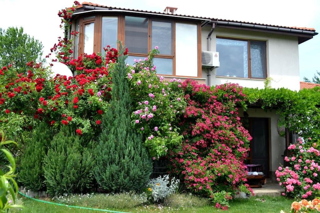 Sea & Garden Villa Варна Экстерьер фото