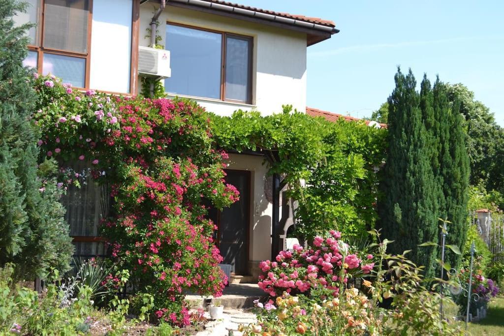 Sea & Garden Villa Варна Экстерьер фото