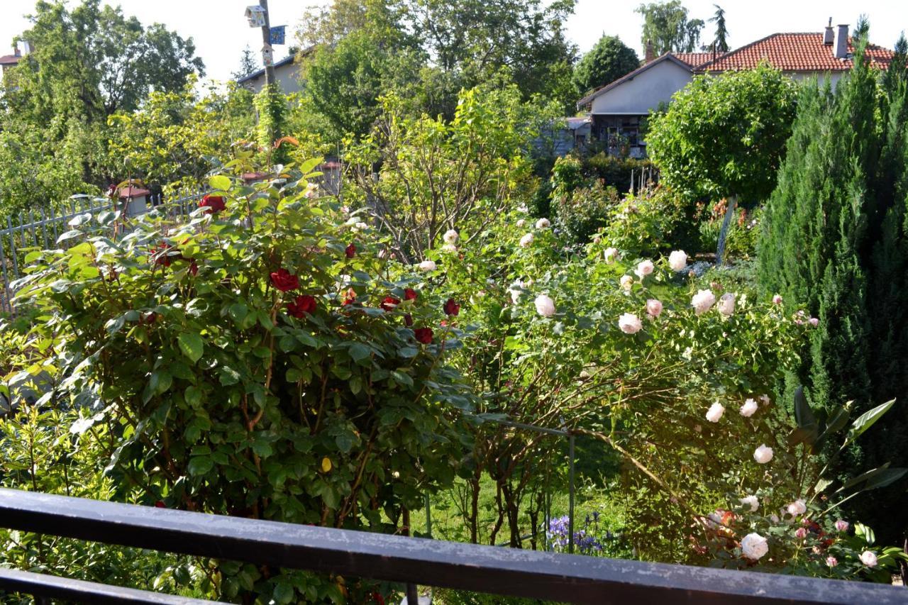 Sea & Garden Villa Варна Экстерьер фото