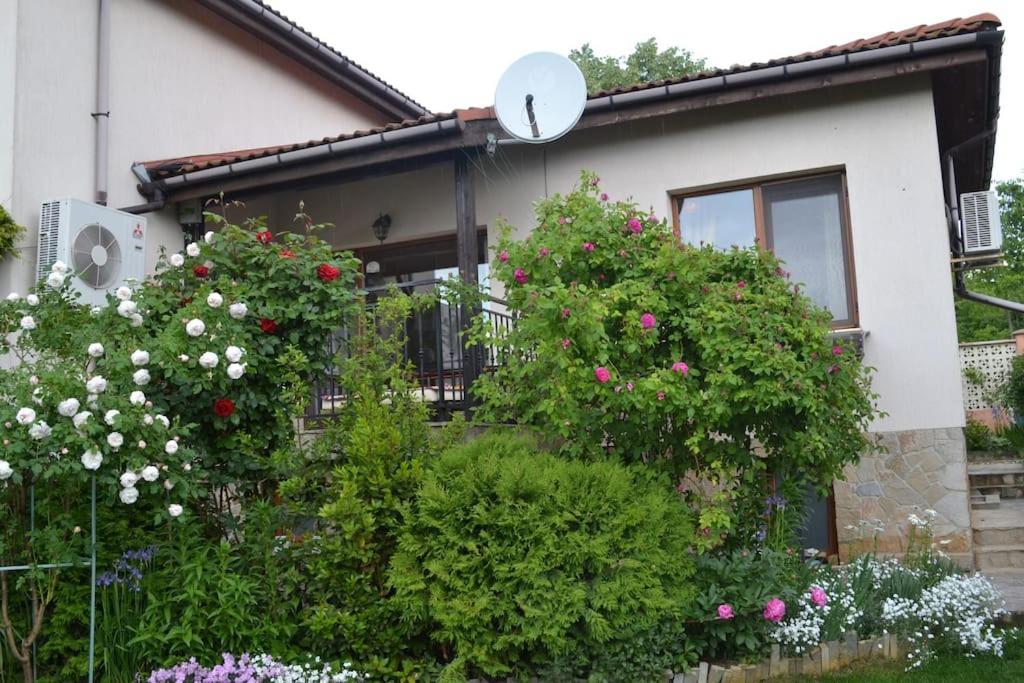 Sea & Garden Villa Варна Экстерьер фото