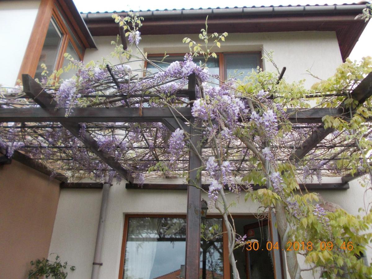 Sea & Garden Villa Варна Экстерьер фото